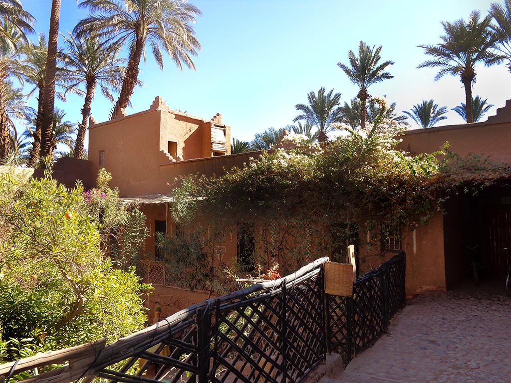 Riad Dar Zaouia 扎古拉 外观 照片