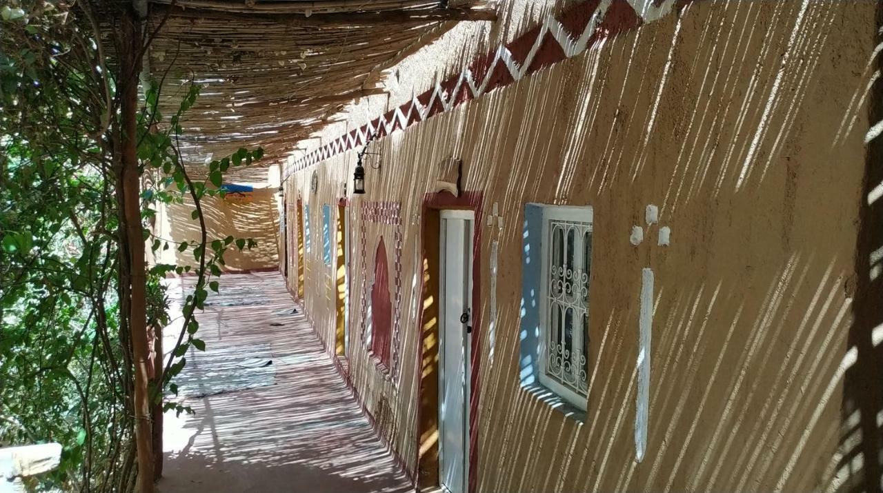 Riad Dar Zaouia 扎古拉 外观 照片
