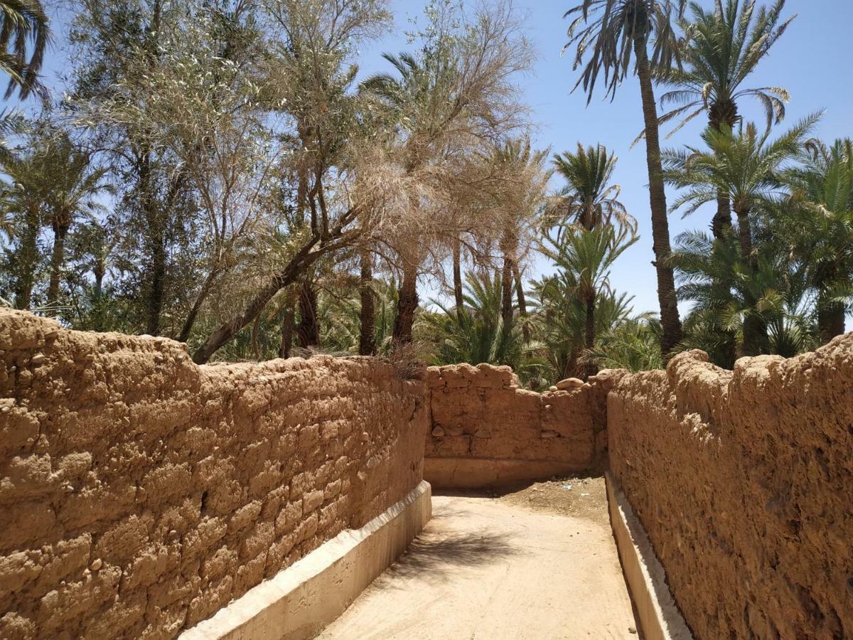 Riad Dar Zaouia 扎古拉 外观 照片